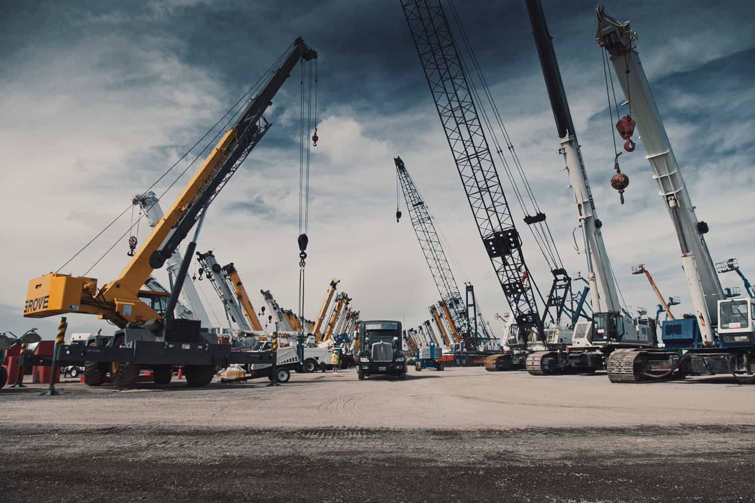 cranes at auction