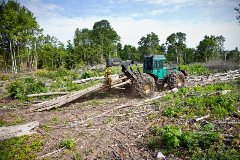 skidder carrying logs